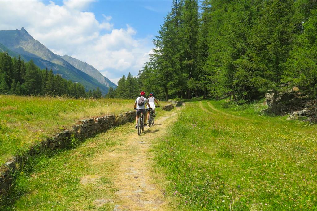 Esperienze in valle d'aosta Mountain Bike E-bike