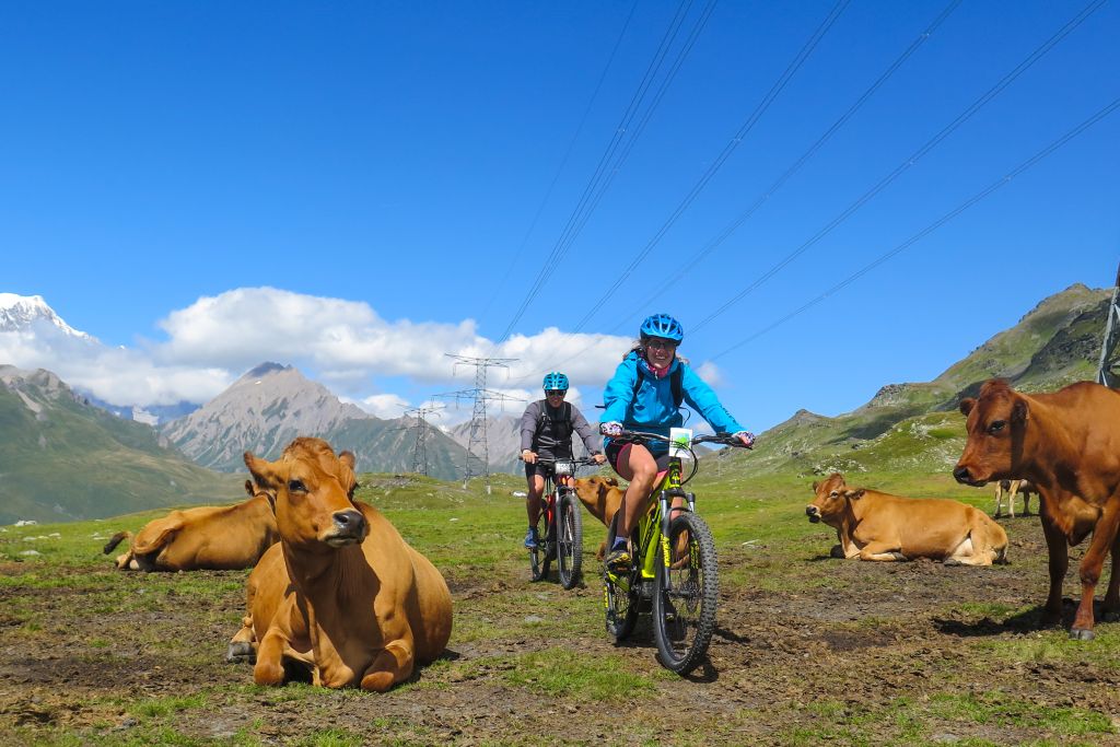 Esperienze in valle d'aosta Mountain Bike