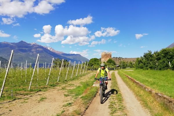 Esperienze in valle d'aosta Mountain Bike E-bike