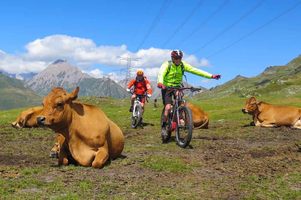 Esperienze in valle d'aosta Mountain Bike E-bike