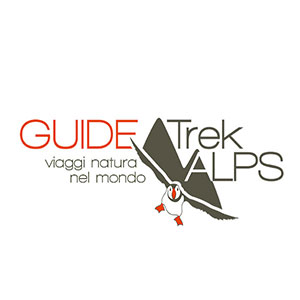 Guide Trek Alps