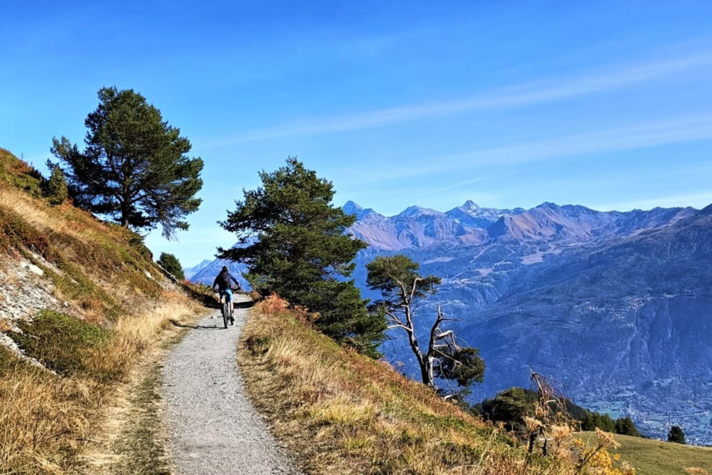 Esperienze in valle d'aosta Mountain Bike